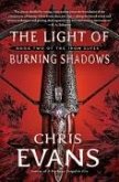 The Light of Burning Shadows (eBook, ePUB)