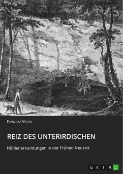 Reiz des Unterirdischen. Höhlenerkundungen in der Frühen Neuzeit (eBook, PDF)