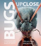 Bugs Up Close: A Magnified Look at the Incredible World of Insects