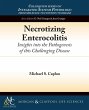 Necrotizing Enterocolitis - Bild 1