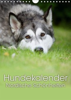 Hundekalender - Nordische Schönheiten (Wandkalender immerwährend DIN A4 hoch) - Noack, Nicole