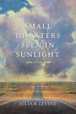 Small Disasters Seen in Sunlight - Levine, Julia B.