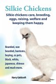 . Silkie Chickens. Silkie Chickens Care, Breeding, Eggs, Raising, Welfare and Keeping Them Happy, Bearded, Non Bearded, Bantoms, Buying, as Pets, Blac