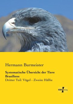 Systematische Übersicht der Tiere Brasiliens - Burmeister, Hermann