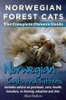 Norwegian Forest Cats and Kittens.... - Bild 1