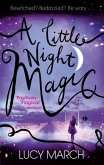 A Little Night Magic (eBook, ePUB)