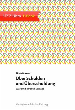 Über Schulden und Überschuldung (eBook, ePUB) - Borner, Silvio