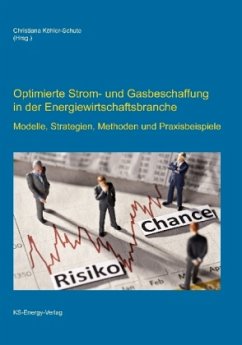 Cover Optimierte Strom- und Gasbeschaffung in der Energiewirtschaftsbranche