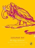 Wordygurdyboom! the Nonsense World of Sukumar Ray
