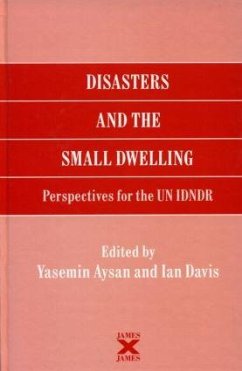 Disasters and the Small Dwelling - Aysan, Yasemin