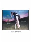 The Adventures of Arrow The Adventures of Arrow