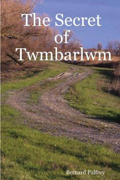 The Secret of Twmbarlwm - Palfrey, Bernard