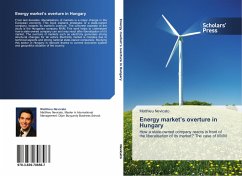 Energy market¿s overture in Hungary - Nevicato, Matthieu