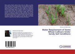 Water Requirement of Some Wheat Cultivars Under Sandy Soil Conditions