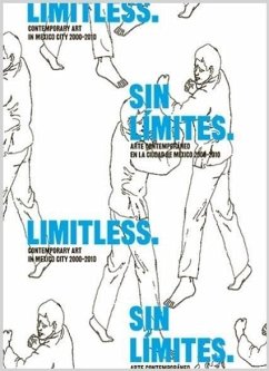Limitless: Contemporary Art in Mexico City 2000-2010