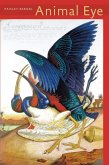 Animal Eye (eBook, ePUB)