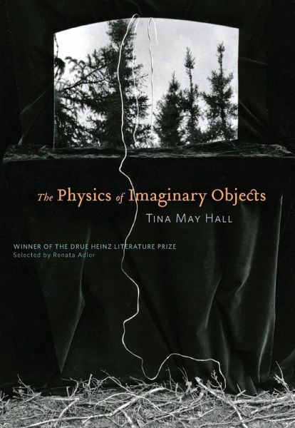 The Physics of Imaginary Objects (eBook, ePUB) The Physics of Imaginary Objects (eBook, ePUB)
