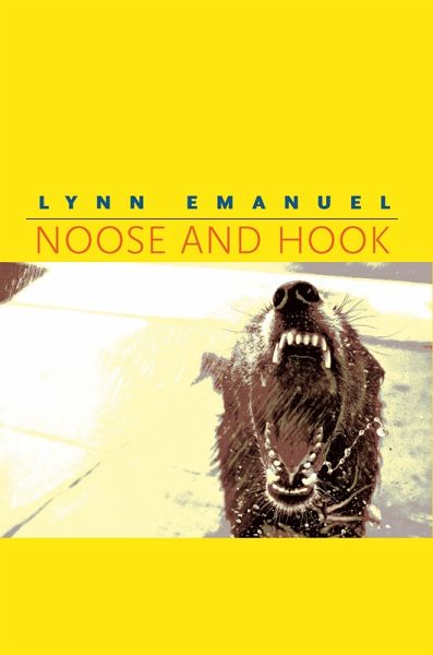 Noose and Hook (eBook, ePUB)