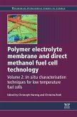 Polymer Electrolyte Membrane and Direct Methanol Fuel Cell Technology (eBook, ePUB)