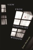 View from a Temporary Window (eBook, ePUB)