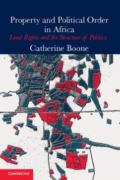 Cover Property and Political Order in Africa (eBook, PDF)