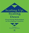 Scaling Up Scaling Down (eBook, ePUB) - Bild 1