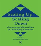 Scaling Up Scaling Down (eBook, ePUB)