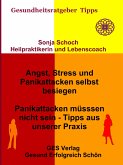 Angst, Stress und Panikattacken selbst besiegen - Tipps aus unserer Praxis (eBook, ePUB)