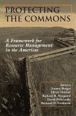 Protecting the Commons (eBook, ePUB)