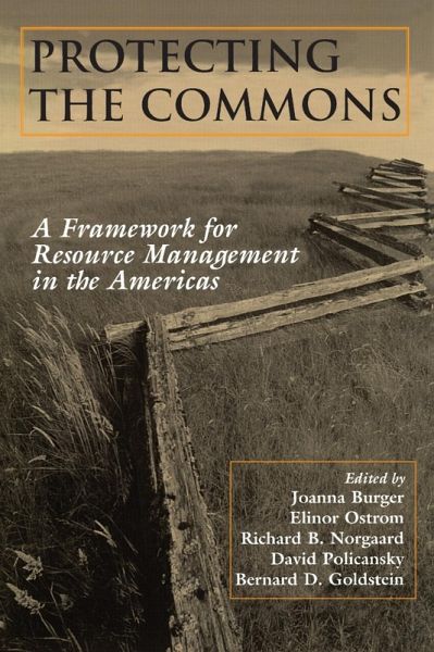 Protecting the Commons (eBook, ePUB) Protecting the Commons (eBook, ePUB)