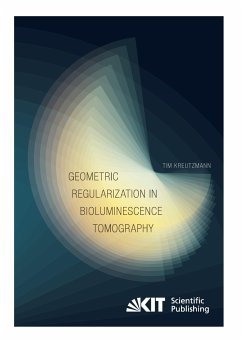 Geometric Regularization in Bioluminescence Tomography - Kreutzmann, Tim