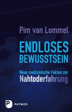 Endloses Bewusstsein (eBook, ePUB) - Lommel, Pim van