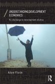 Understanding Development Economics (eBook, PDF)