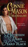 Between a Rake and a Hard Place (eBook, ePUB) Between a Rake and a Hard Place (eBook, ePUB)