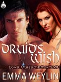 Druid's Wish (eBook, ePUB) Druid's Wish (eBook, ePUB)