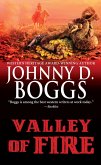 Valley of Fire (eBook, ePUB)
