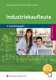 3. Ausbildungsjahr, Schülerband / Industriekaufleute, Ausgabe nach Ausbildungsjahren und Lernfeldern