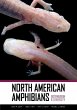 North American Amphibians (eBook, ePUB) - Bild 1