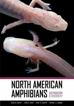 North American Amphibians (eBook, ePUB)