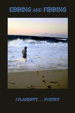 Cover Ebbing and Fibbing