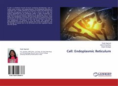 Cell: Endoplasmic Reticulum