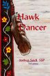 Hawk Dancer - Bild 1