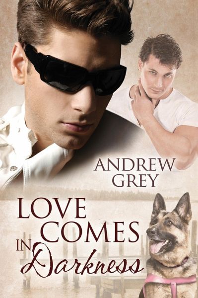 Love Comes in Darkness (eBook, ePUB)