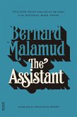 The Assistant (eBook, ePUB)