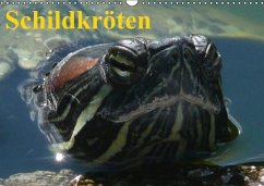 Schildkröten (Wandkalender immerwährend DIN A3 quer) - Stanzer, Elisabeth