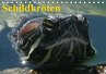 Schildkröten (Tischkalender... - Bild 1