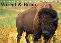 Wisent & Bison (Tischkalender immerwährend DIN A5 quer)