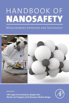 Cover Handbook of Nanosafety (eBook, ePUB)