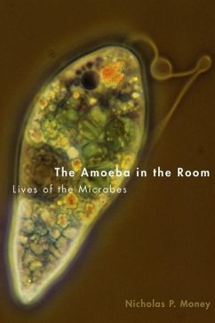 The Amoeba in the Room - Money, Nicholas P