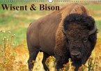 Wisent & Bison (Wandkalender immerwährend DIN A3 quer)